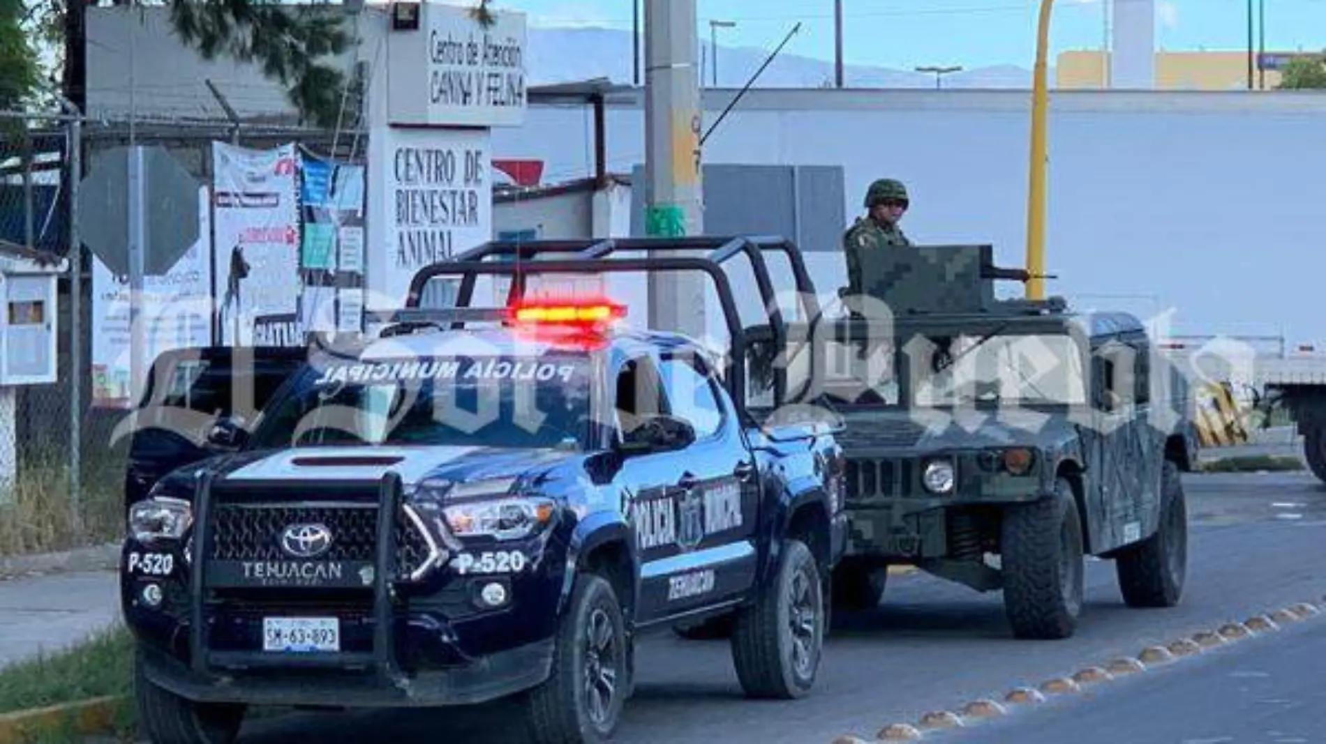 gendarmeria tehuacán